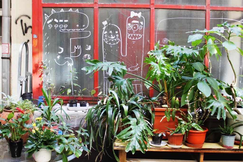 Dbc Hostel Budapest Exterior photo